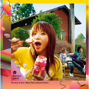 孟狐狸图片大全高清
