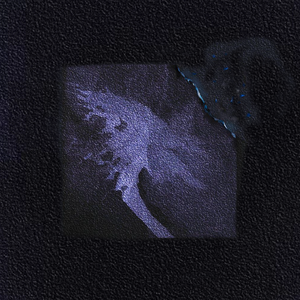 孟狐狸图片大全高清
