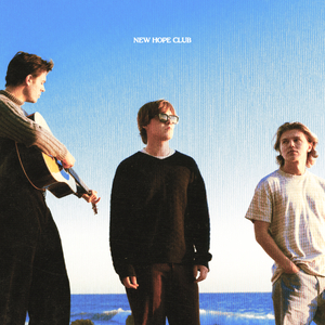 孟狐狸图片大全高清
