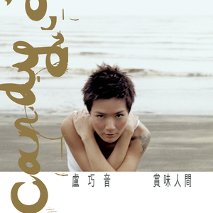 孟狐狸图片大全高清
