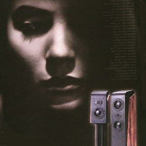 孟狐狸图片大全高清
