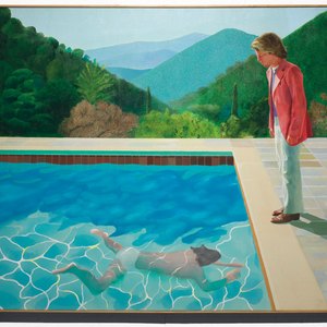 孟狐狸图片大全高清
