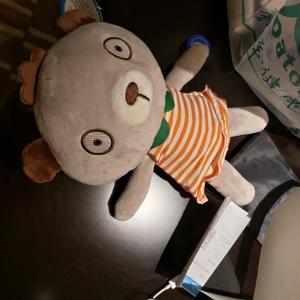 孟狐狸图片大全高清
