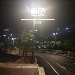 孟狐狸图片大全高清
