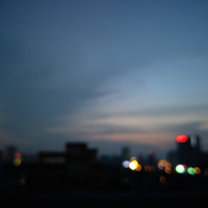 孟狐狸图片大全高清
