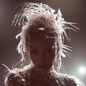 孟狐狸图片大全高清
